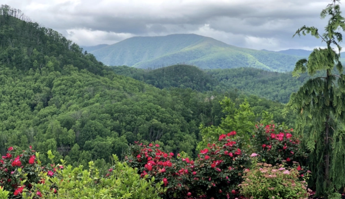 Great Smoky Mountains — Bonaventure
